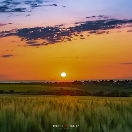 Wiedeblick *
